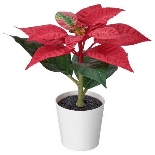 VINTERFINT, artificial potted plant in/outdoor Poinsettia, 6 cm, 505.869.18