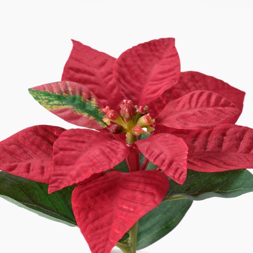 VINTERFINT, artificial potted plant in/outdoor Poinsettia, 6 cm, 505.869.18