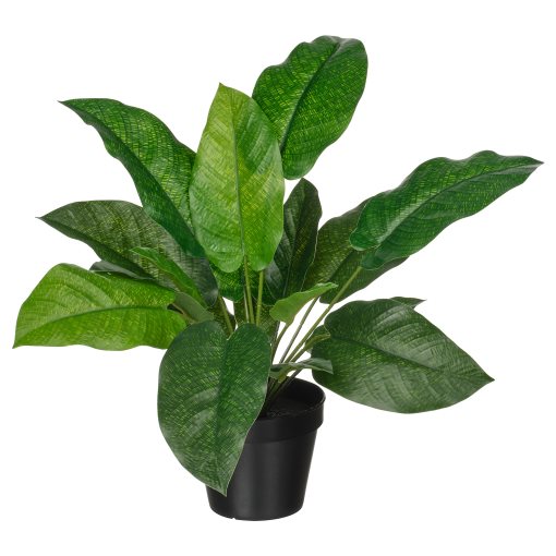 FEJKA, artificial potted plant in/outdoor/calathea, 12 cm, 506.008.63