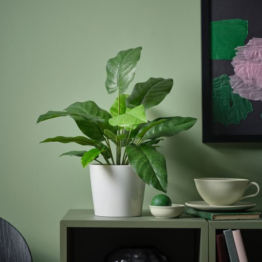 FEJKA, artificial potted plant in/outdoor/calathea, 12 cm, 506.008.63