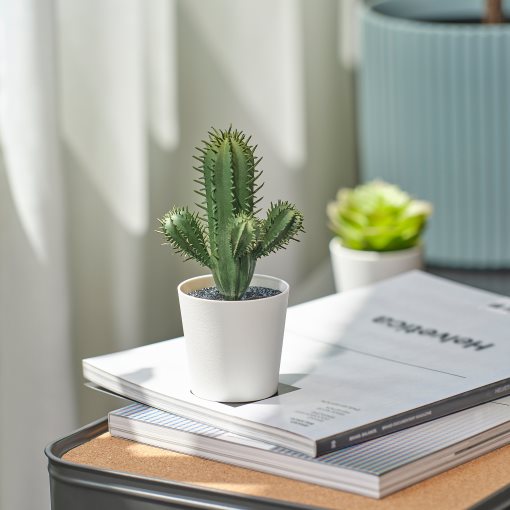 FEJKA, artificial potted plant/in/outdoor Cactus, 6 cm, 605.871.54
