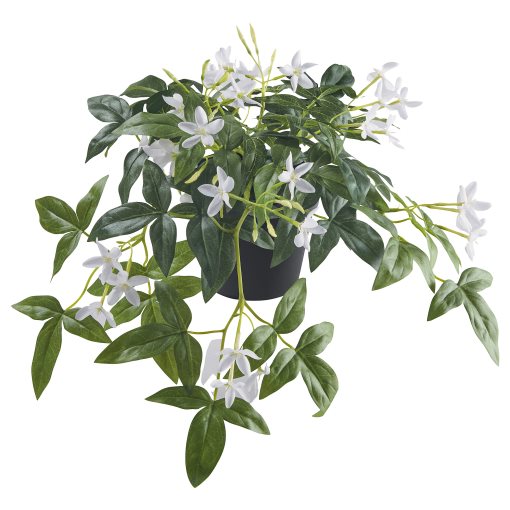 FEJKA, artificial potted plant in/outdoor/hanging/Jasmine, 12 cm, 605.932.25