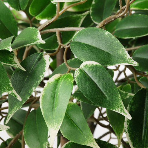 FEJKA, τεχνητό φυτό σε γλάστρα/εσωτερικού/εξωτερικού χώρου/Benjamina Exotica, 21 cm, 704.915.75