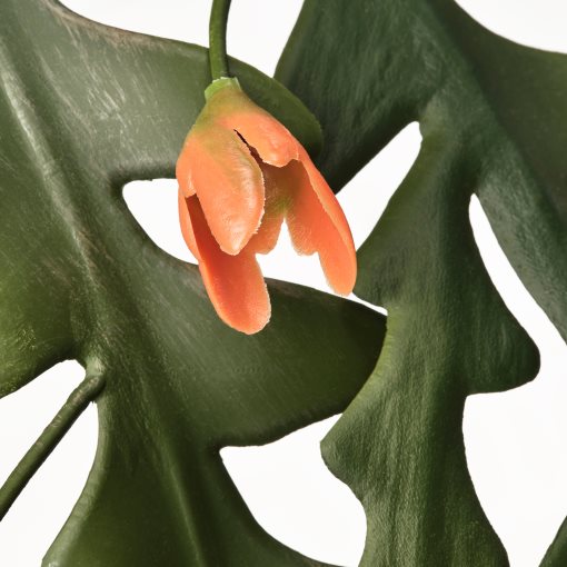 FEJKA, τεχνητό φυτό σε γλάστρα εσωτερικού/εξωτερικού χώρου/Επίφυλλο κρεμαστό, 12 cm, 705.229.87