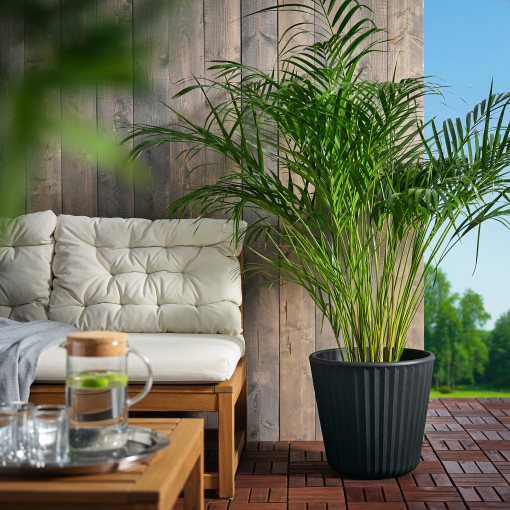 BJORNBAMBU, plant pot in/outdoor, 32 cm, 705.847.63