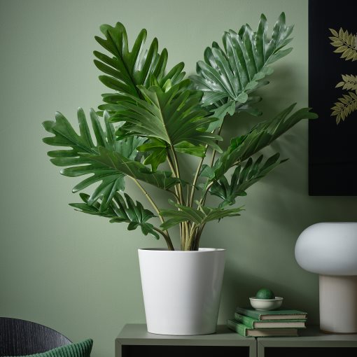 FEJKA, τεχνητό φυτό σε γλάστρα εσωτερικού/εξωτερικού χώρου/Φιλόδεντρο ζαναντού, 19 cm, 706.008.62