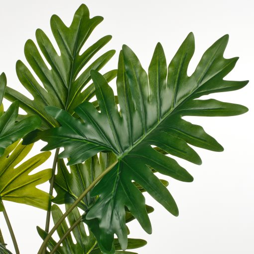 FEJKA, τεχνητό φυτό σε γλάστρα εσωτερικού/εξωτερικού χώρου/Φιλόδεντρο ζαναντού, 19 cm, 706.008.62