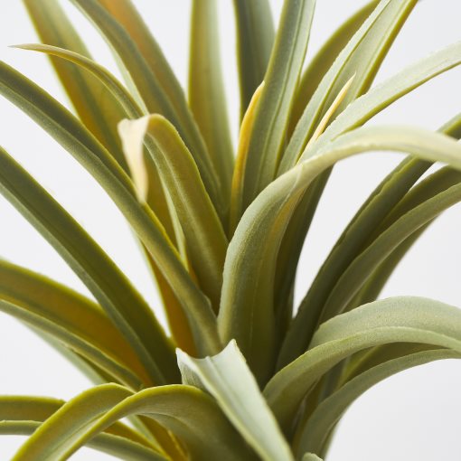 FEJKA, τεχνητό φυτό/Αερόφυτο, σετ 3 τεμ., 805.599.61