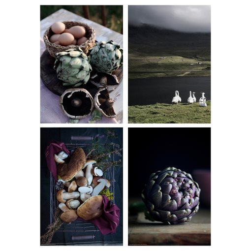 BILD, πόστερ/Στην εξοχή, 4 τεμ. 21x30 cm, 805.606.86