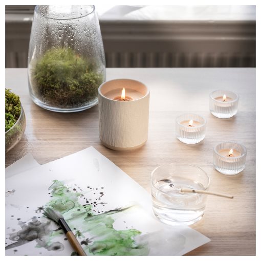 SILKESTRÄD, scented tealight/dew & moss/30 pack, 3.5 hr, 805.705.53