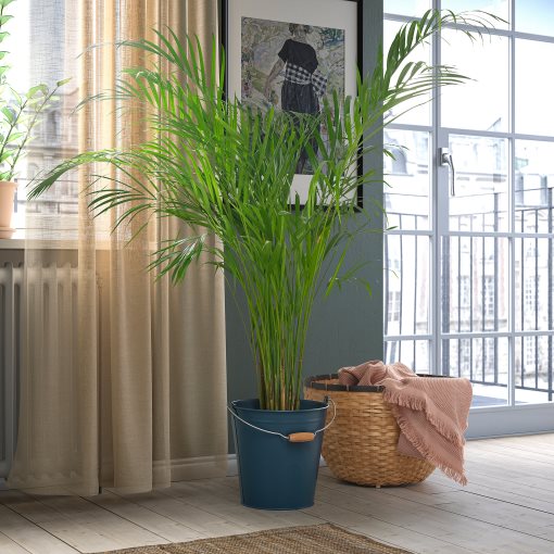 ÅKERBÄR, κουβάς/κασπό εσωτερικού/εξωτερικού χώρου, 10 l, 805.847.91