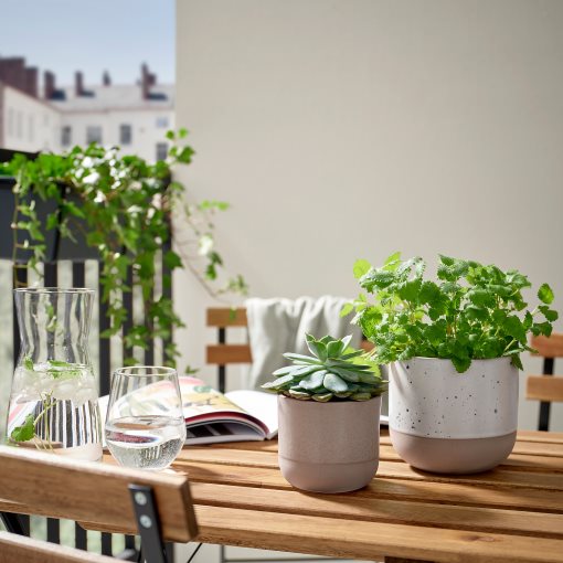 BUSKKAPRIFOL, κασπό εσωτερικού/εξωτερικού χώρου, 9 cm, 805.958.98