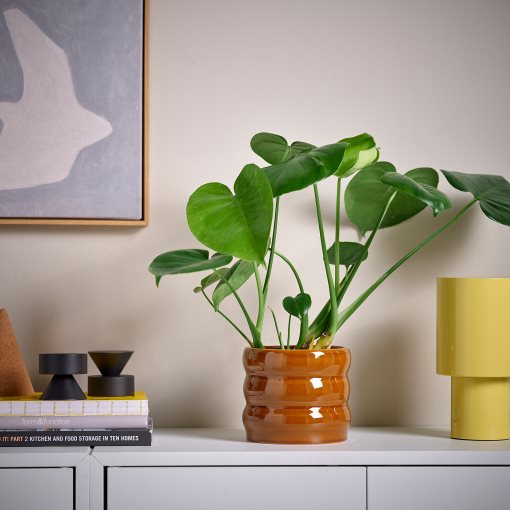 HASSELBUKETT, plant pot in/outdoor, 12 cm, 806.218.21