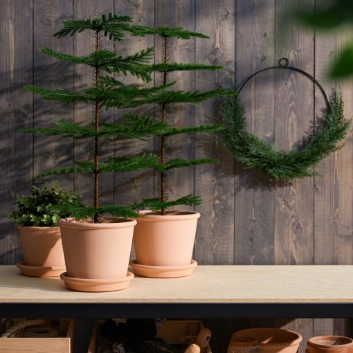 FEJKA, τεχνητό φυτό σε γλάστρα εσωτερικού/εξωτερικού χώρου/Αροκάρια, 15 cm, 905.229.91