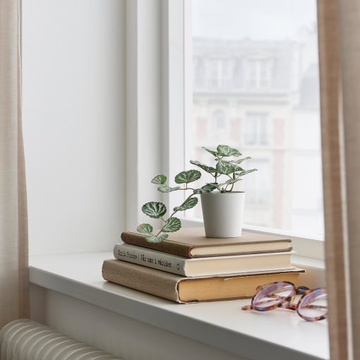 FEJKA, artificial potted plant with pot/in/outdoor, 6 cm, 905.380.01