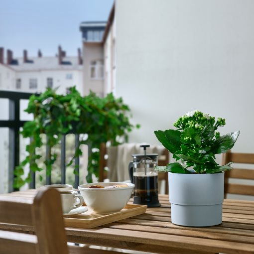 NYPON, κασπό εσωτερικού/εξωτερικού χώρου, 12 cm, 905.451.48