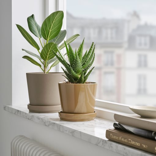 CITRUSFRUKT, κασπό με πιάτο εσωτερικού/εξωτερικού χώρου, 12 cm, 905.515.73