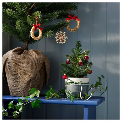 VINTERFINT, τεχνητό φυτό σε γλάστρα/εσωτερικού/εξωτερικού χώρου/Χριστουγεννιάτικο δέντρο, 9 cm, 905.521.67