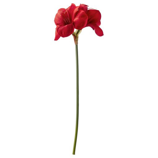 VINTERFINT, τεχνητό λουλούδι/εσωτερικού/εξωτερικού χώρου Αμαρυλλίς, 60 cm, 905.621.52
