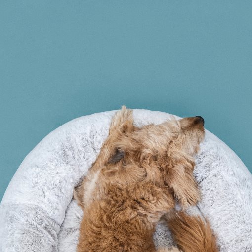 UTSADD, κρεβάτι για κατοικίδιο/M, 65 cm, 905.705.81