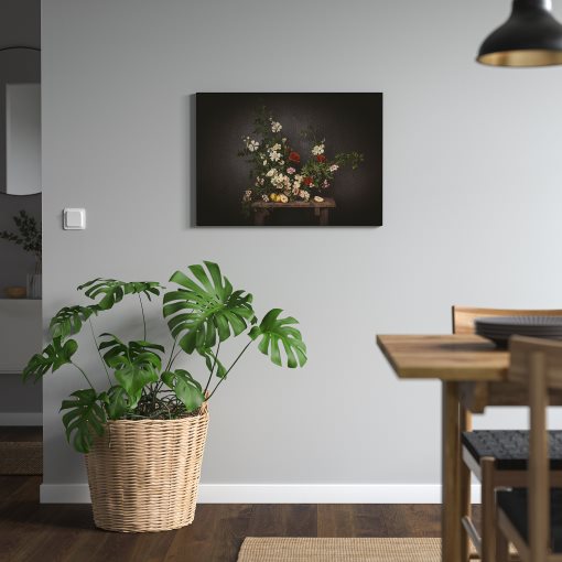 PJÄTTERYD, picture/flowers against a black wall, 70x50 cm, 905.789.02
