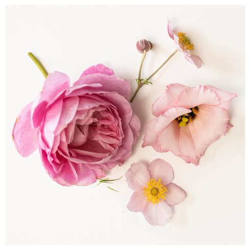 FRÖFINK, scented potpourri/Pink flowers, 60 g, 906.041.47