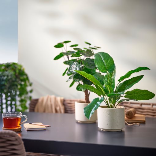 SANDKÖRSBÄR, κασπό εσωτερικού/εξωτερικού χώρου, 12 cm, 906.218.25