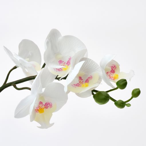 FEJKA, artificial potted plant, Orchid, 002.859.08