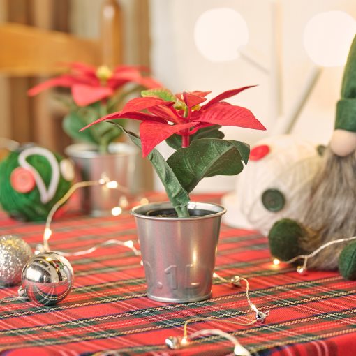 VINTERFINT, τεχνητό φυτό σε γλάστρα/εσωτερικού/εξωτερικού χώρου Αλεξανδρινό, 6 cm, 005.621.37