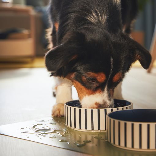 UTSADD, place mat for food bowl, 33x50 cm, 005.692.14