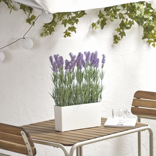 FEJKA, artificial potted plant with pot/in/outdoor Lavender, 005.863.55