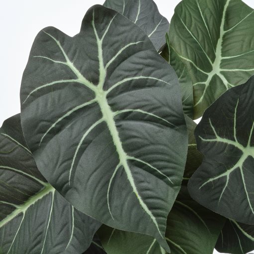 FEJKA, artificial potted plant in/outdoor Alocasia, 12 cm, 006.008.70