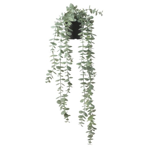 FEJKA, artificial potted plant in/outdoor hanging/eucalyptus, 9 cm, 006.152.49