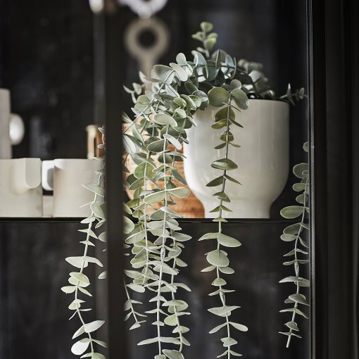FEJKA, artificial potted plant in/outdoor hanging/eucalyptus, 9 cm, 006.152.49