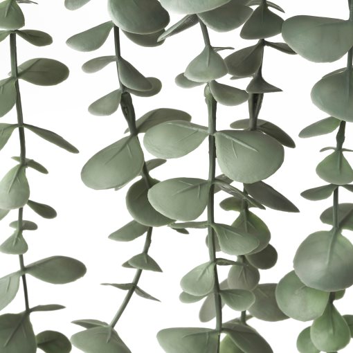 FEJKA, artificial potted plant in/outdoor hanging/eucalyptus, 9 cm, 006.152.49