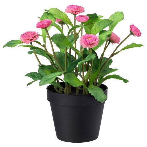 FEJKA, artificial potted plant in/outdoor, Common daisy, 103.953.36