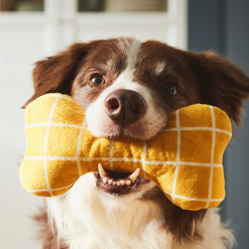 UTSADD, soft toy for dog, 105.708.77