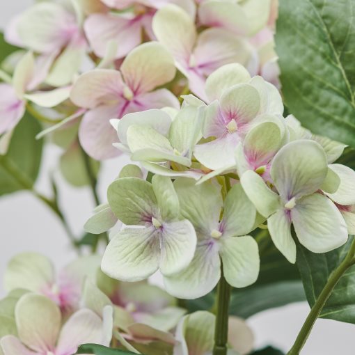FEJKA, artificial potted plant in/outdoor/hydrangea, 12 cm, 106.177.66