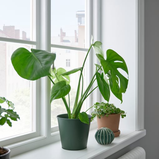 ÅKERBÄR, plant pot/in/outdoor, 15 cm, 205.627.68