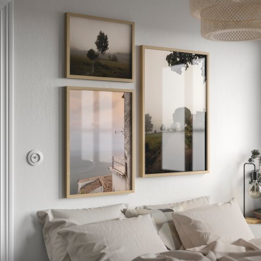 RODALM, frame, 61x91 cm, 205.664.03