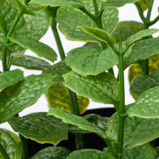 FEJKA, artificial potted plant in/outdoor Mint, 9 cm, 206.008.50