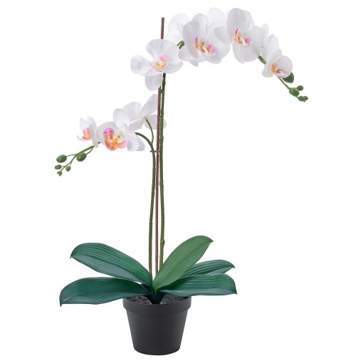 FEJKA, artificial potted plant/Orchid, 12 cm, 206.152.34