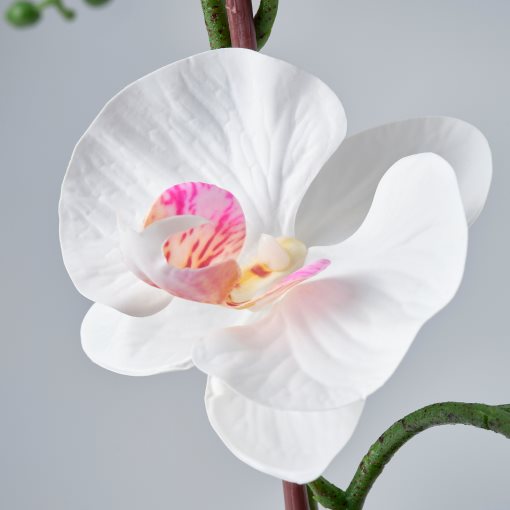 FEJKA, artificial potted plant/Orchid, 12 cm, 206.152.34