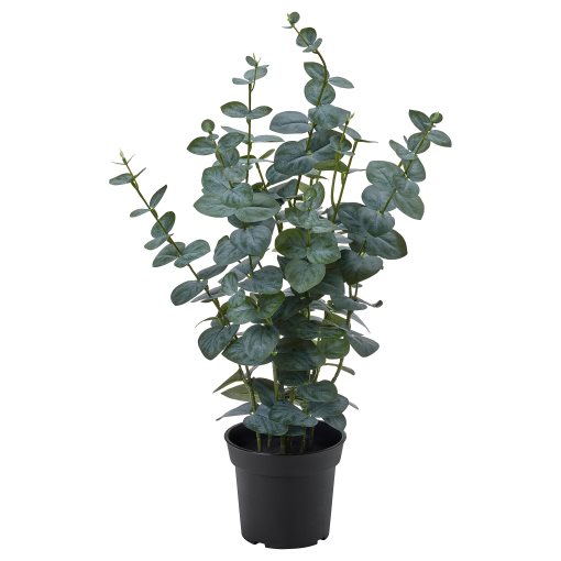 FEJKA, artificial potted plant in/outdoor/eucalyptus, 15 cm, 206.152.72