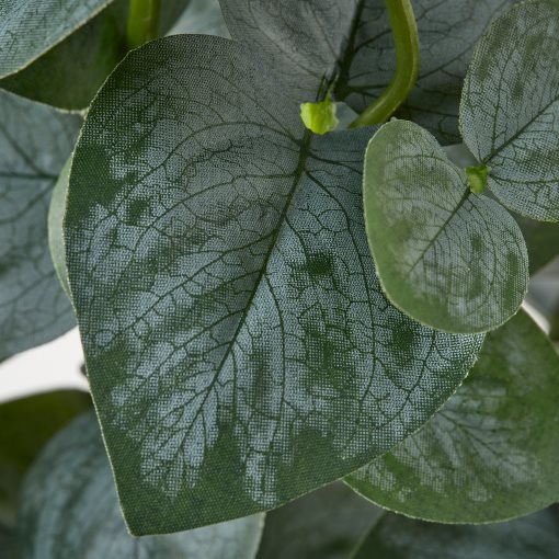 FEJKA, artificial potted plant in/outdoor/eucalyptus, 15 cm, 206.152.72