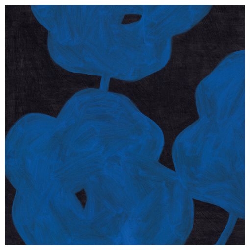 PJÄTTERYD, picture/vivid blooms, 90x90 cm, 206.234.46