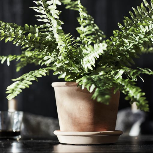 MUSKOTBLOMMA, plant pot with saucer in/outdoor, 15 cm, 304.548.91