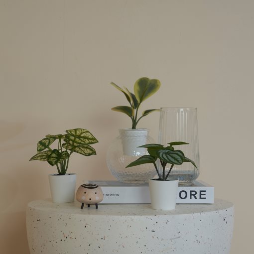 FEJKA, artificial potted plant with pot in/outdoor begonia, set of 3, 305.596.47