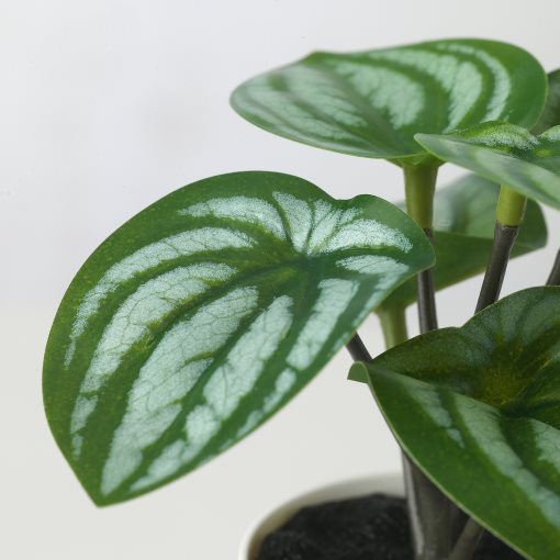 FEJKA, artificial potted plant with pot in/outdoor begonia, set of 3, 305.596.47