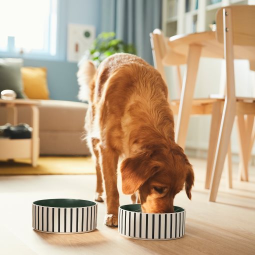 UTSADD, pet bowl, 19 cm, 305.692.03
